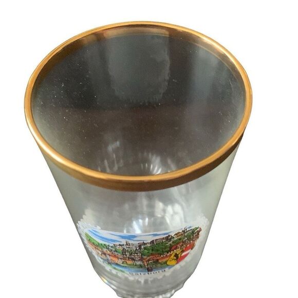 Vintage SALZBURG Austria Beer Glass Perfect for Any Beer Lover HTF Rare - Picture 6 of 13